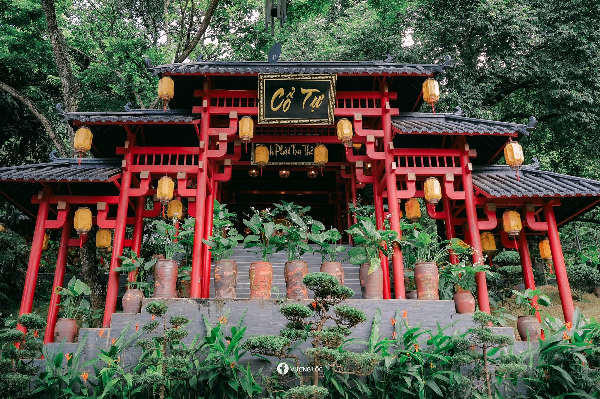 Tour Du Lịch Chùa Cây Thị 2 Ngày 1 Đêm Trọn Gói Gồm Những Gì? – Suất Ăn ...