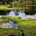 Khu vực ven sông Đồng nai nam cát tiên