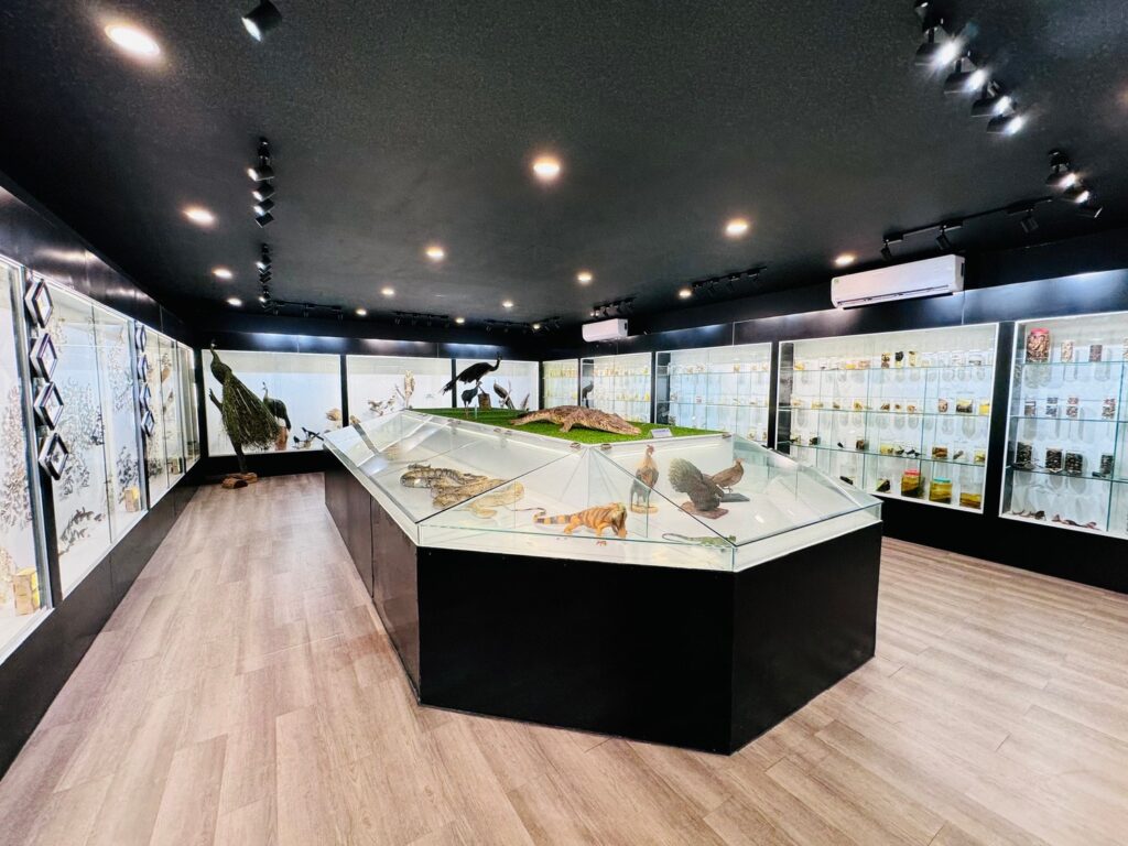 Bảo tàng thiên nhiên